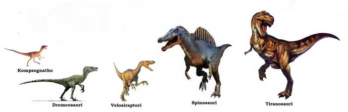 эволюционный ряд динозавров